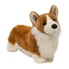 Chadwick the Plush Pembroke Welsh Corgi by Douglas