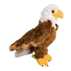 Colbert the Stuffed Bald Eagle by Douglas