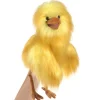 Full Body Funny Bird Puppet by Folkmanis Puppets