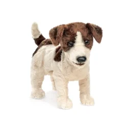 Full Body Jack Russell Terrier Puppet by Folkmanis Puppets