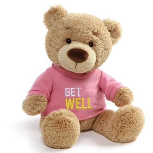 Get Well Teddy Bear with Embroidered Pink Shirt by Gund