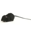 Handcrafted 5 Inch Lifelike Black Rat Stuffed Animal by Hansa