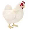 Handcrafted 14 Inch Lifelike White Hen Stuffed Animal by Hansa
