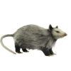 Handcrafted 12 Inch Lifelike Opossum Stuffed Animal by Hansa