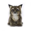 Handcrafted 6 Inch Lifelike Lynx Cub Stuffed Animal by Hansa