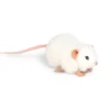 Handcrafted 5 Inch Lifelike White Rat Stuffed Animal by Hansa