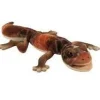 Handcrafted 10 Inch Lifelike Beige Knob-tailed Gecko Stuffed Animal by Hansa