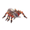 Living Earth Plush Tarantula by Wild Republic