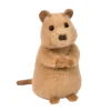 Mini Soft Quincie the 6 Inch Plush Quokka by Douglas