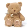 My First Teddy Baby Safe Stuffed Bear by Gund