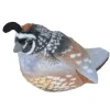 Plush California Quail Audubon Bird with Sound by Wild Republic