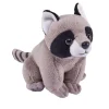 Pocketkins Eco-Friendly Small Plush Raccoon by Wild Republic